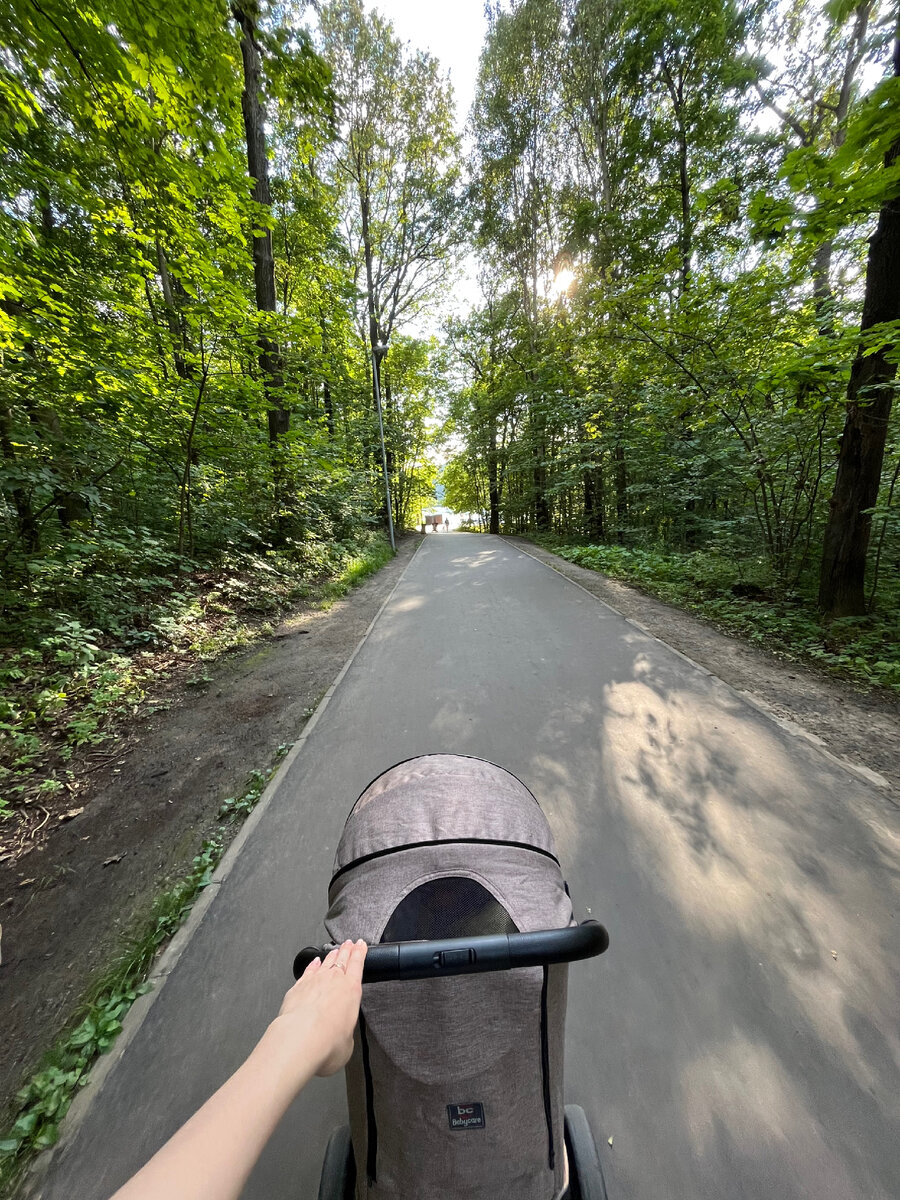 Тот самый лесопарк , о котором пойдет речь 