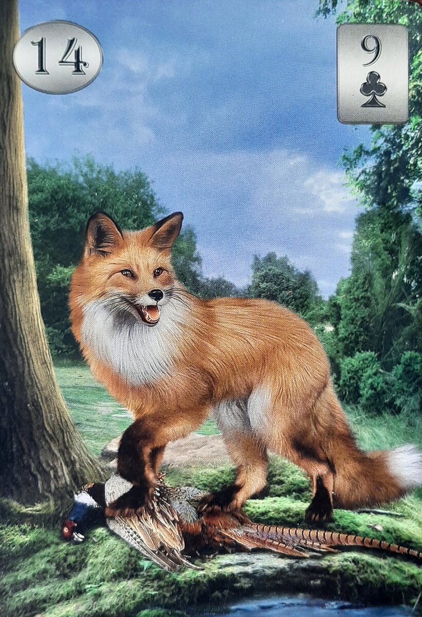 Thelema Lenormand. Renata Lechner