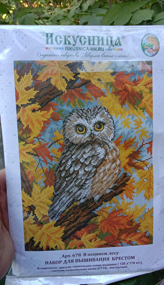 В осеннем лесу 