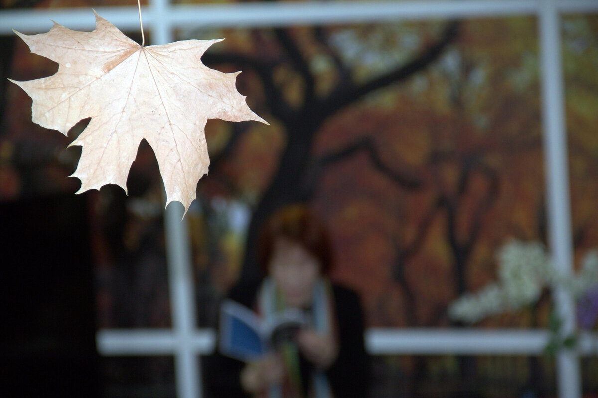 Осень. Творчество. Театр. Фото - с официального сайта Библиотеки №12 имени Бунина