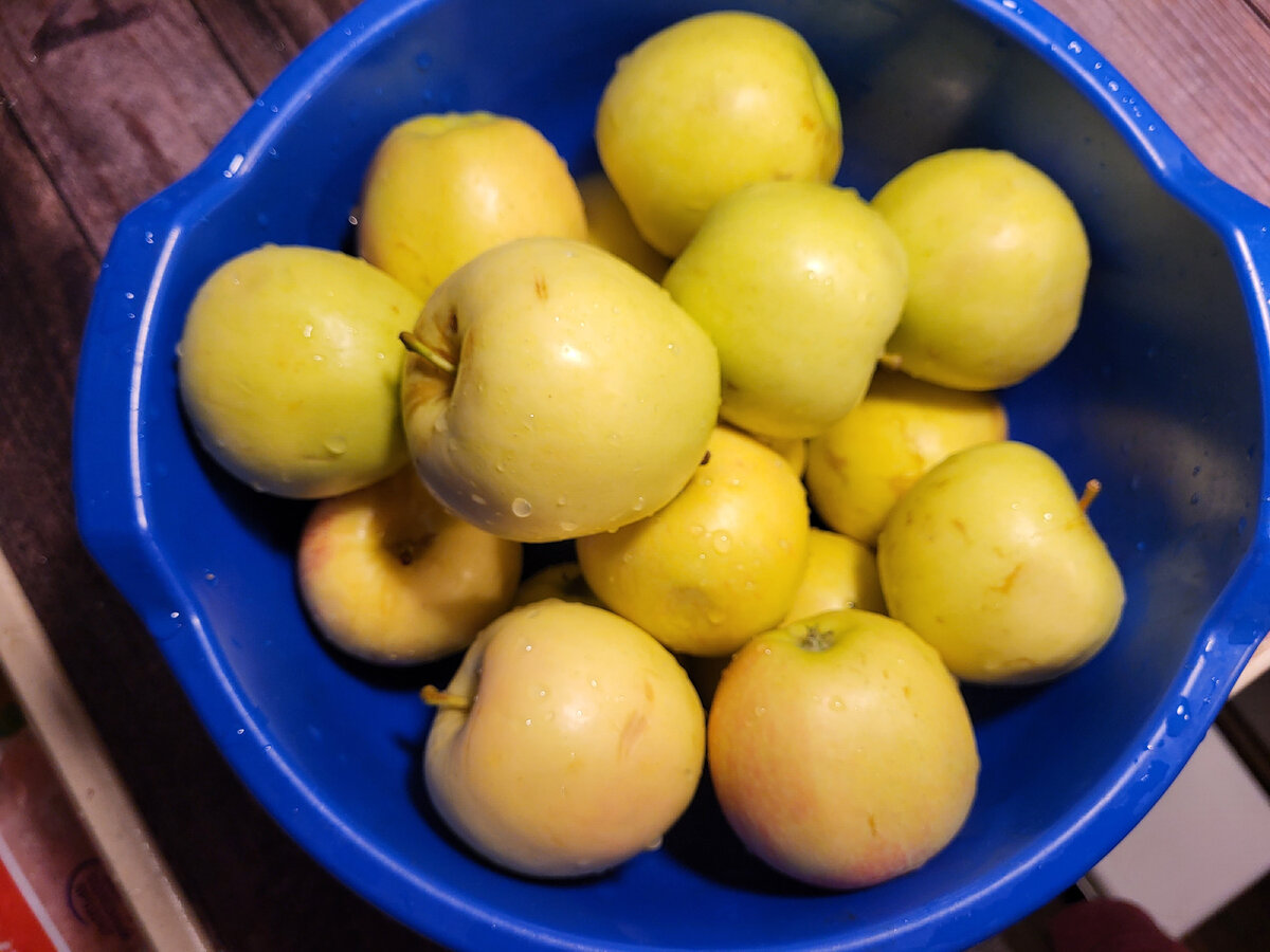 Фото автора статьи - Ольги Суховой.