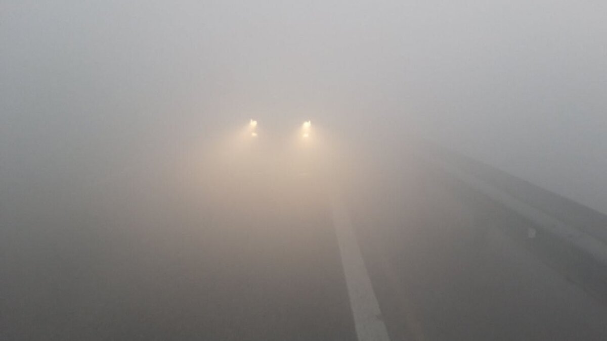 Госавтоинспекция Тюменской области📷
