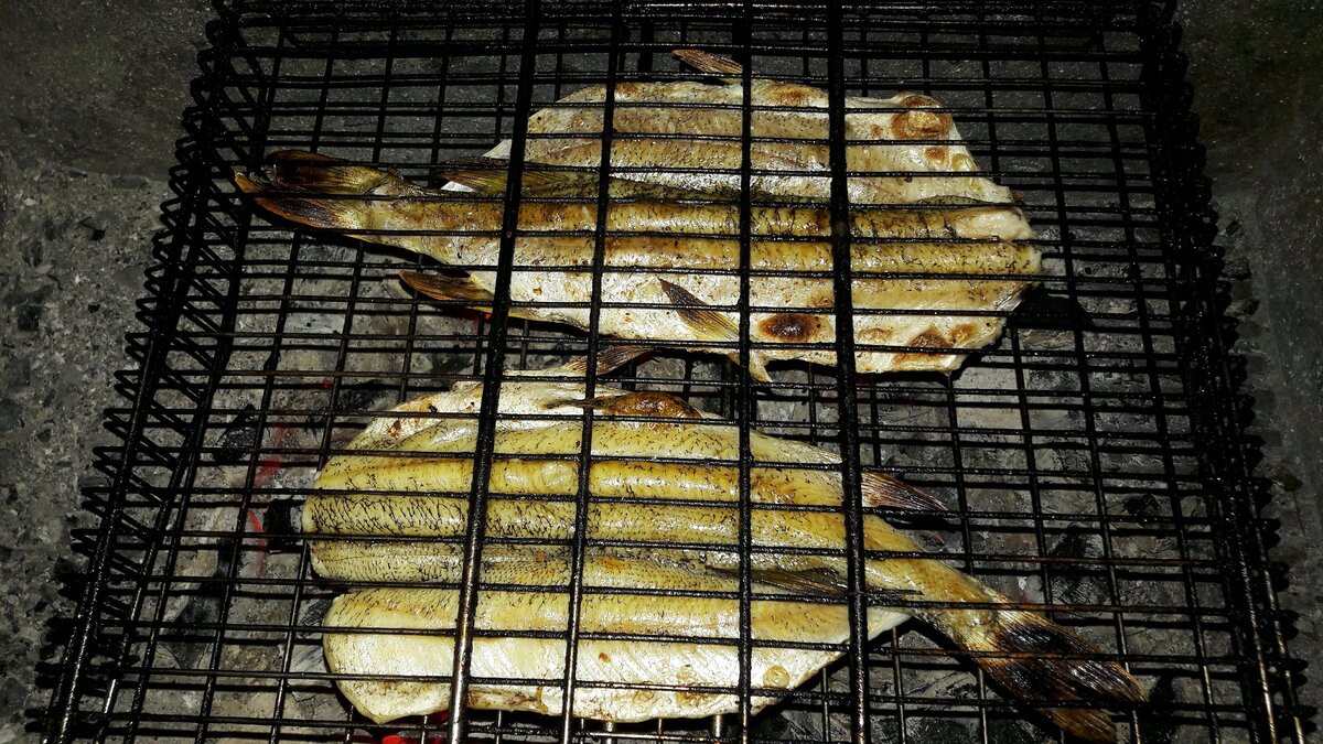 щука на решетке