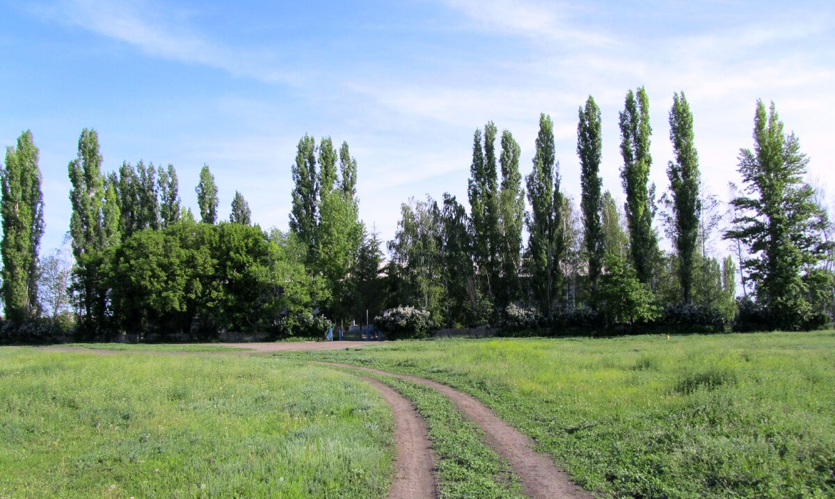 Вот она - наша деревенская школа в два этажа на небольшом участке в 2,2 га... День Последнего звонка...