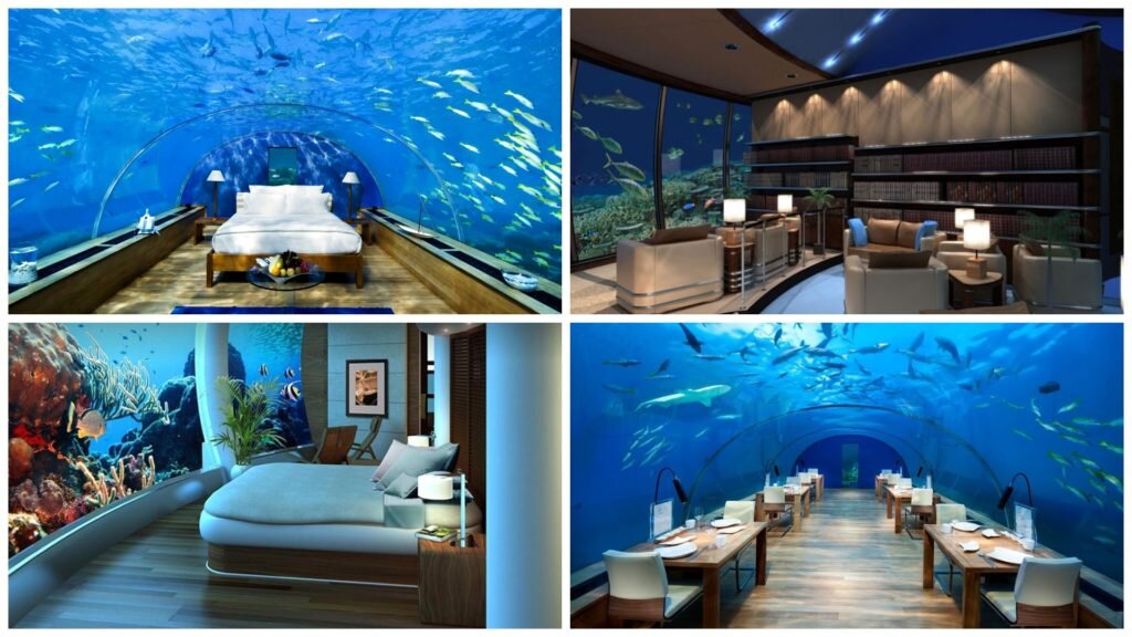 Желаете почувствовать себя морским богом, дремлющем на дне океана? Вид на водную лазурь и её обитателей не оставит равнодушными никого из посетителей. Приятные впечатления гарантированы.