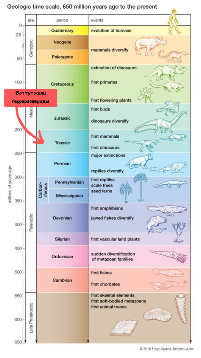 Геохронологическая шкала