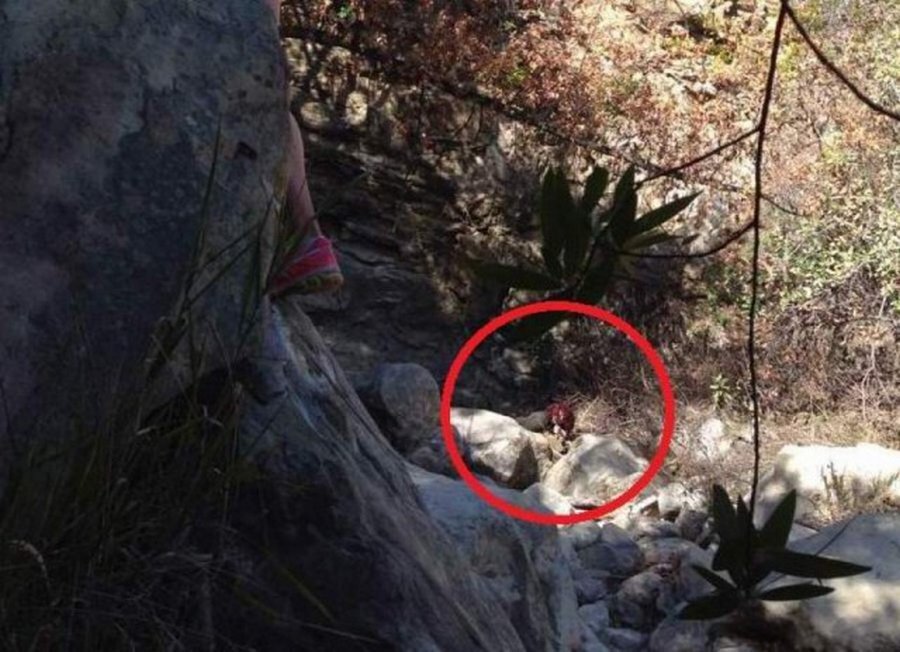 живут страшилки