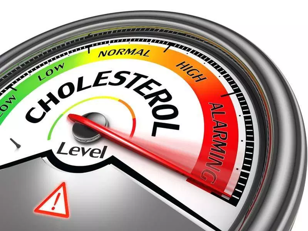 Что нужно знать о «хорошем» и «плохом» холестерине