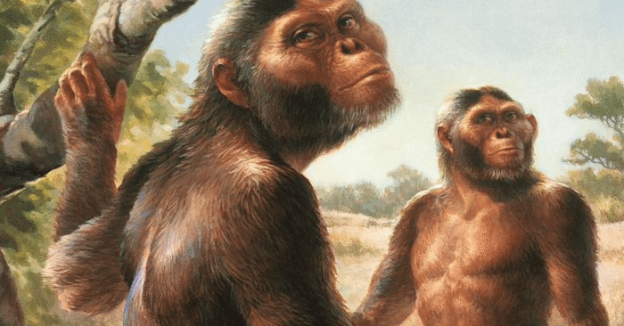 Австралопитеки. 4 млн лет назад