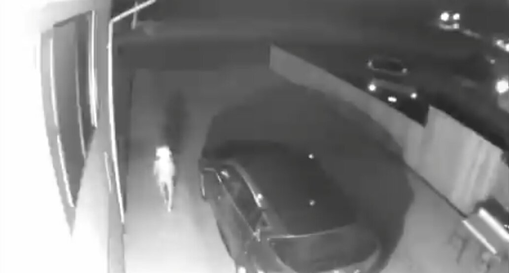 Скриншот из видео https://twitter.com/i/status/1137400475010052101