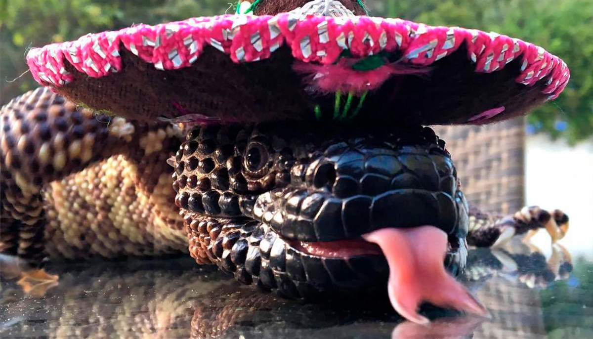Hola amigo!