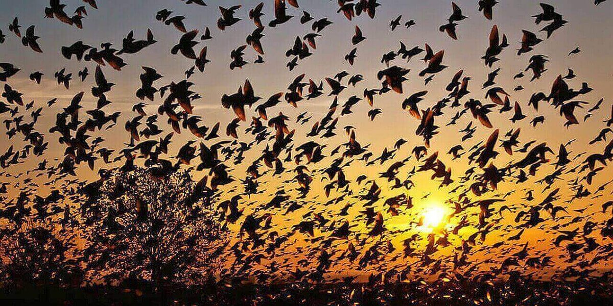 Фото из открытого источника 