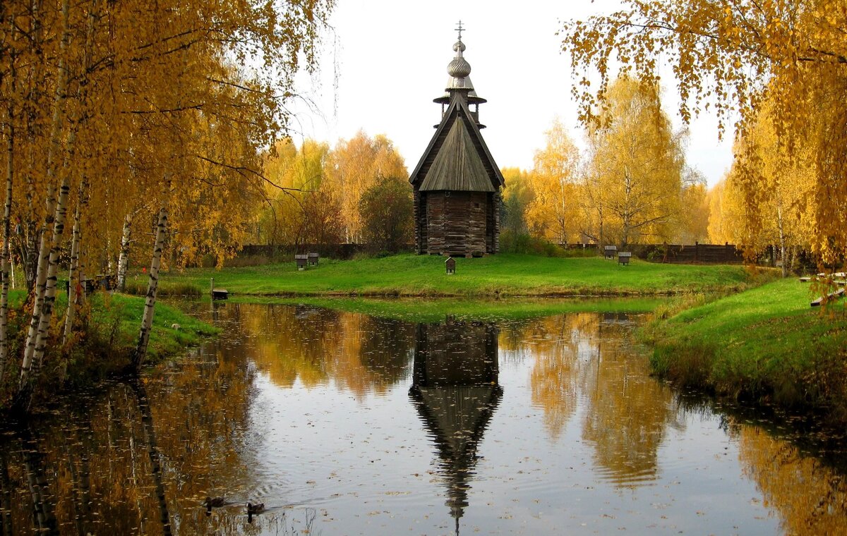 фото яндекс картинки