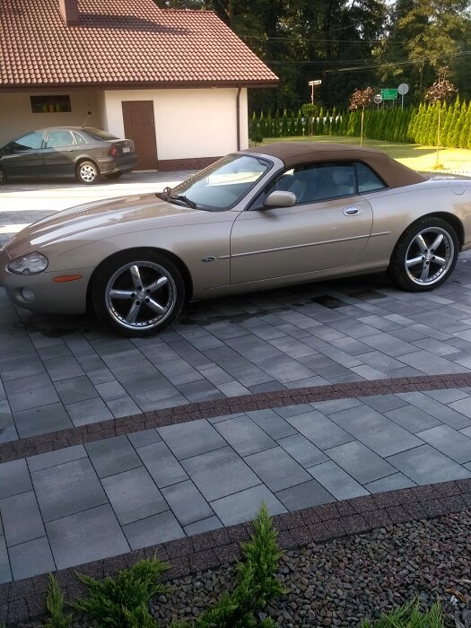 Источник: https://0.allegroimg.com/original/031f14/5224c5d54a69a38b85b27fdb0710