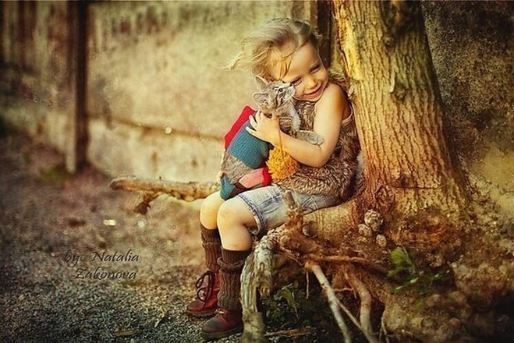 Кот и его хозяйка доказывают, что препятствия можно преодолеть совместными усилиями