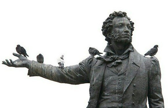 Картинка из интернета