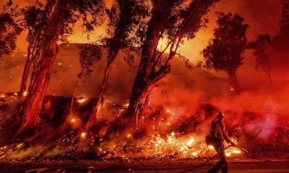 Австралия охвачена лесными пожарами, распространившимся по всей стране из-за сильнейшей засухи. 
