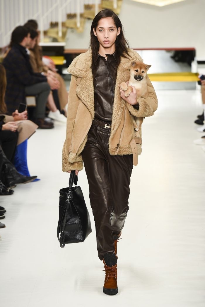 Tods