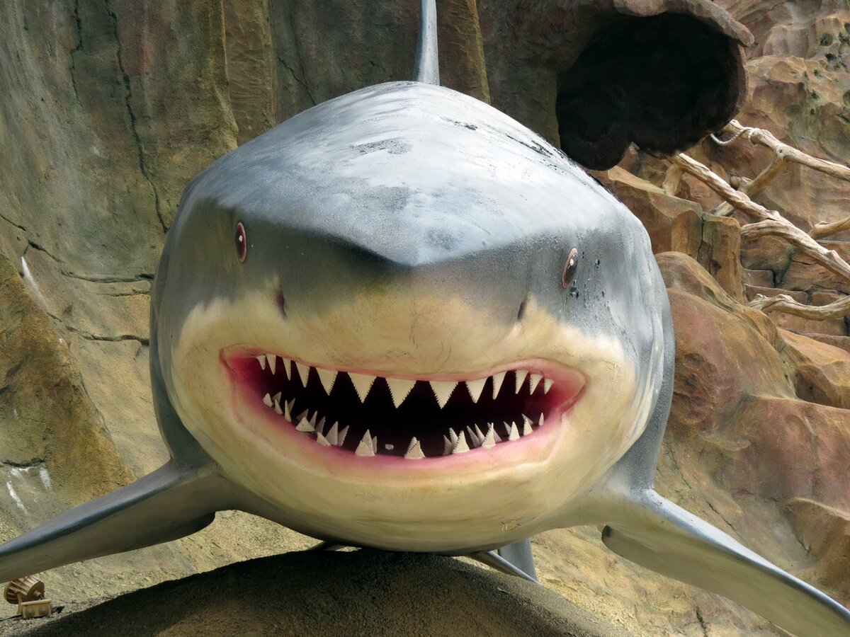 Макет акулы в океанариуме