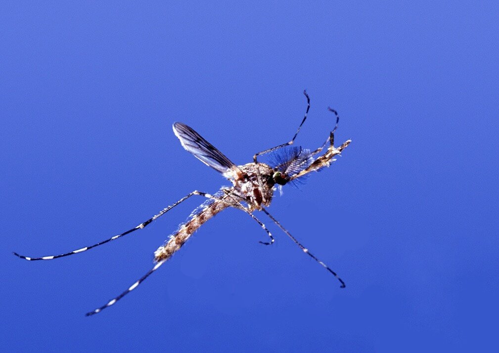 Фото: Myoutdoorslife.com