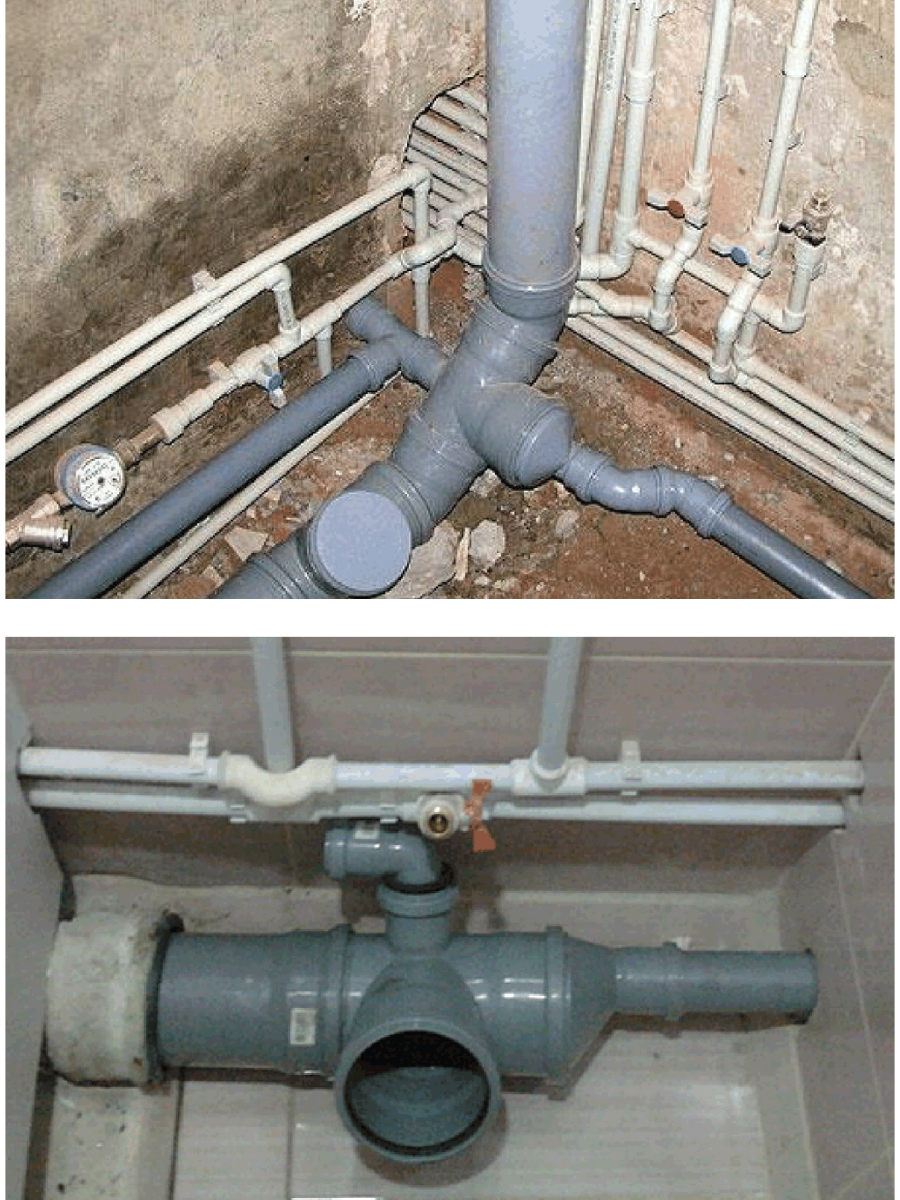 изображение: Яндекс. Картинки