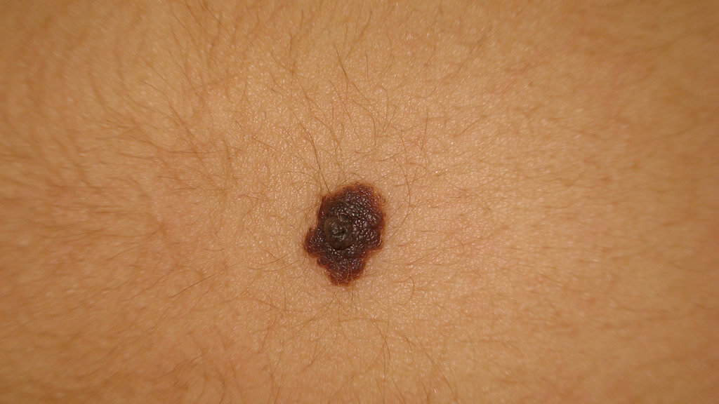 Pogranichnye-rodinki