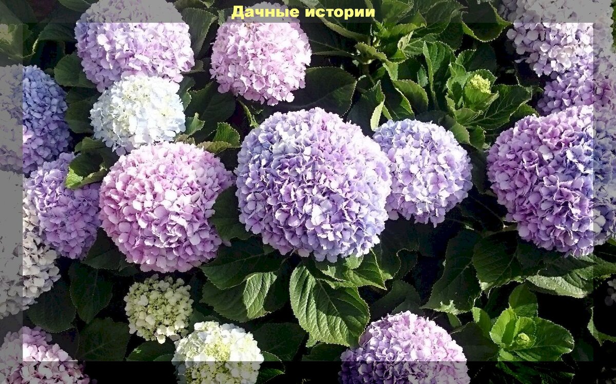 https://vk.com/photo-159774511_457243606
