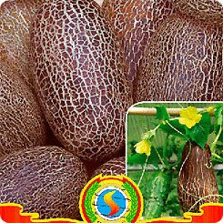 Огурец Бабушки ридикюль