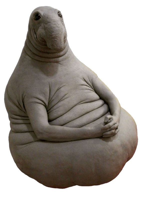 Фото из открытого источника. 