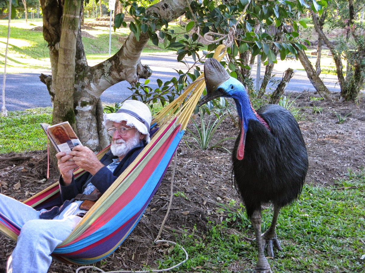 Почему ты лежишь в моём присутствии, смерд?