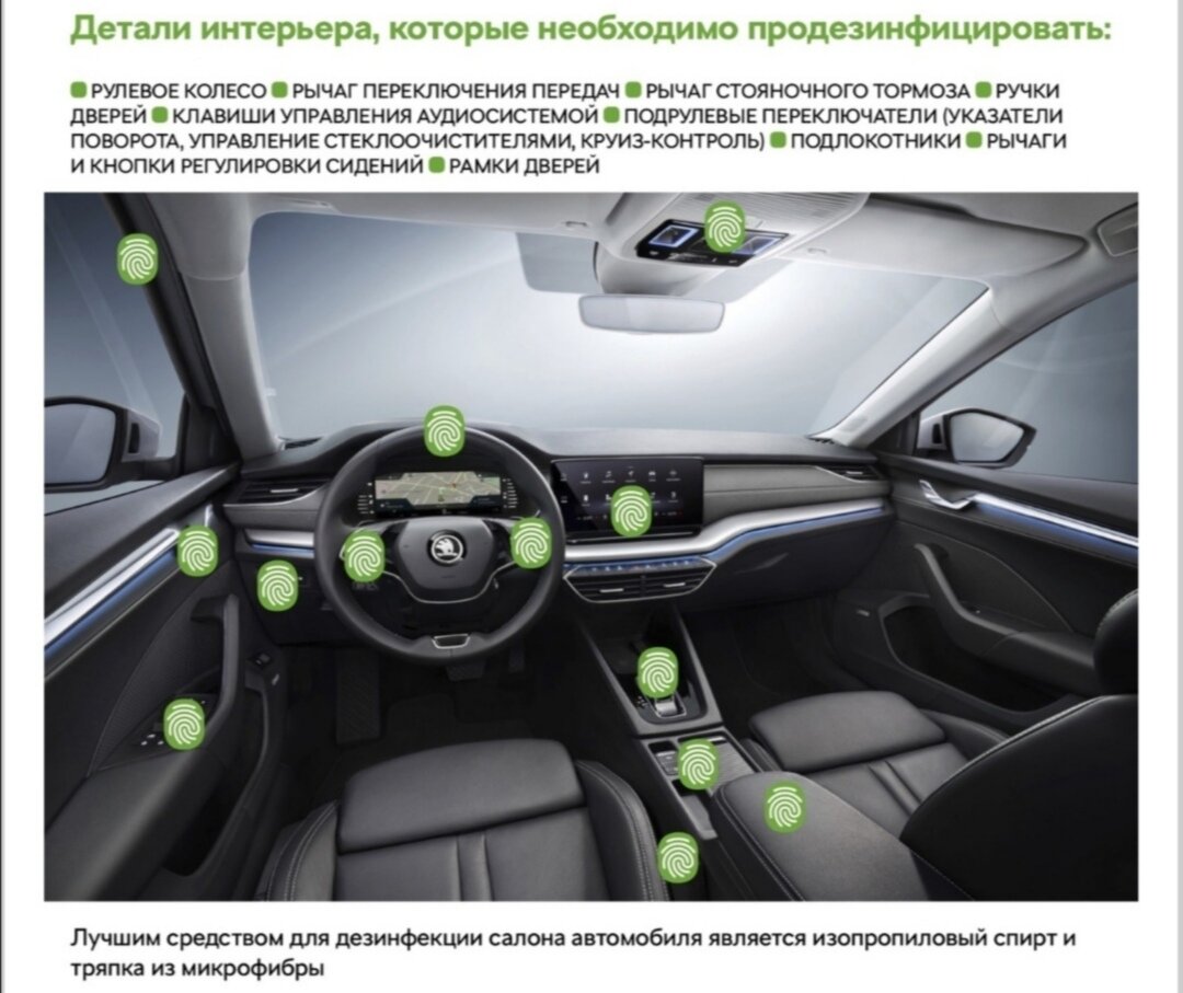 Основные места в авто, где может оставаться вирус после контакта с носителем.