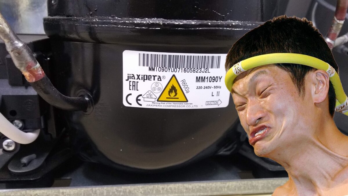 Компрессор морозильника Бирюса 112