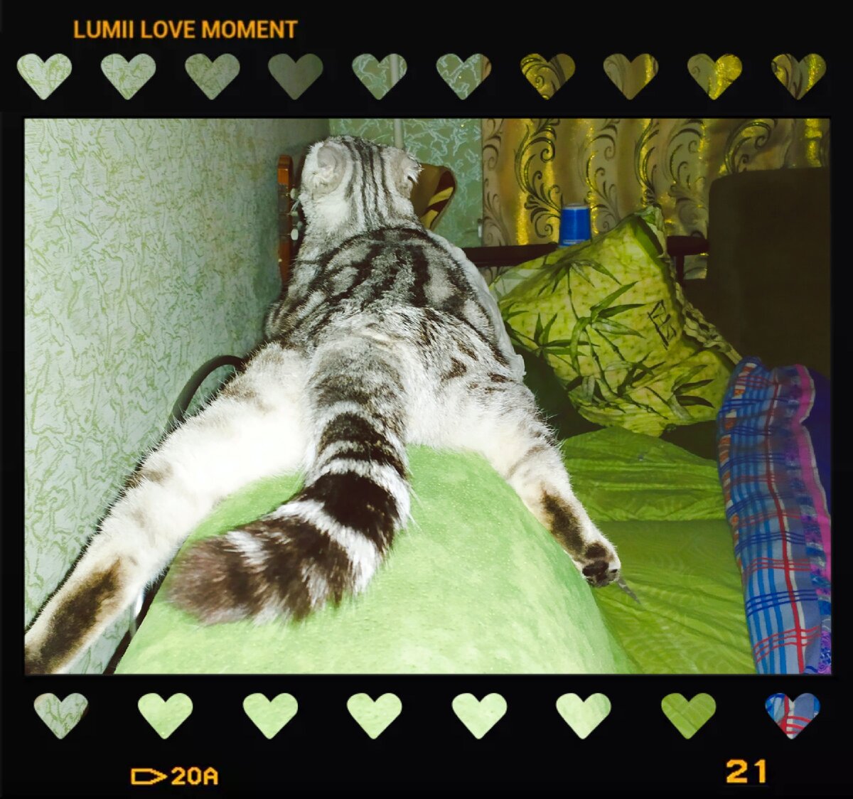 Семейный архив