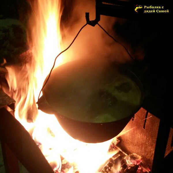 Сколько водки нужно добавлять в уху