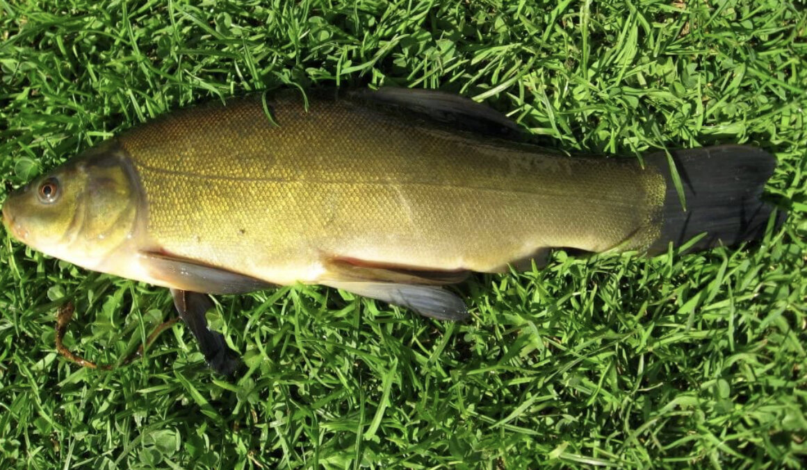 Источник иллюстрации-Яндекс картинки 