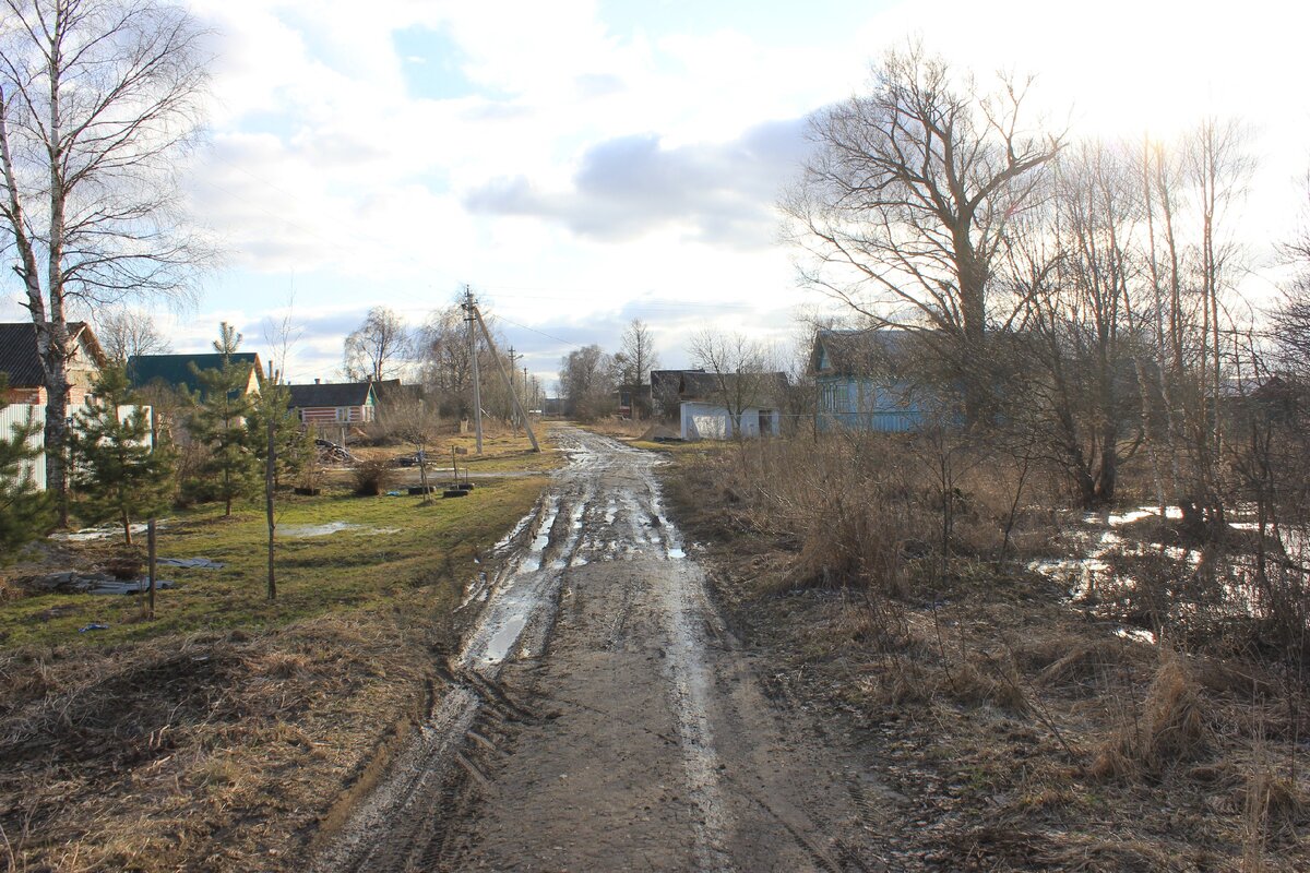 Шалава