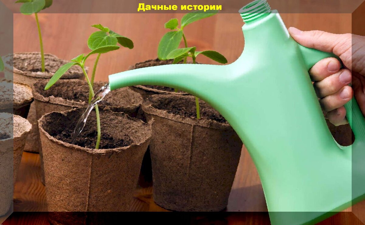 https://vk.com/photo-159774511_457243650