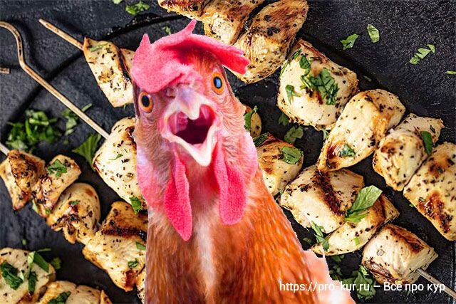 Как замариновать шашлык из курицы – рецепты и советы для сочного и вкусного мяса
