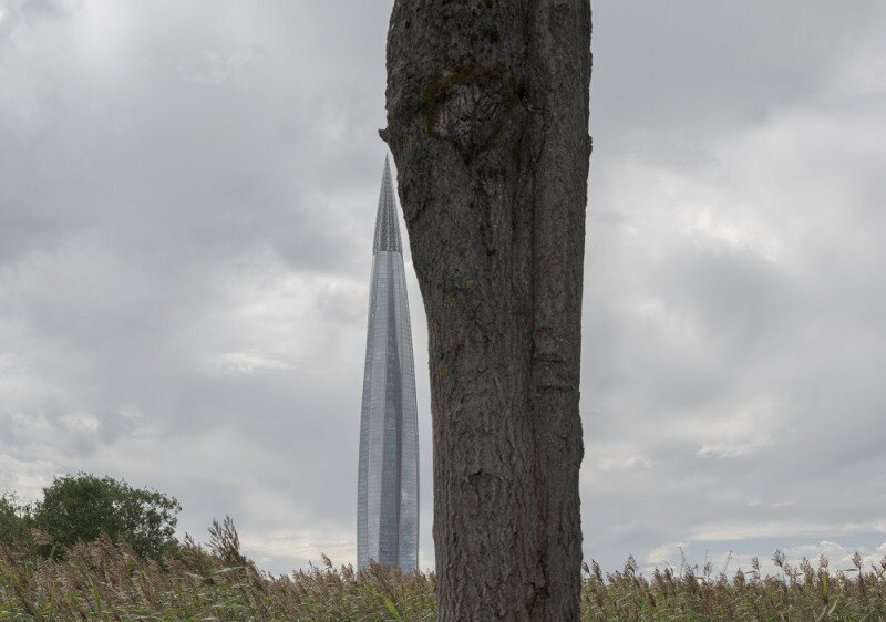 The Tower and the tree by Юрий Пальмин