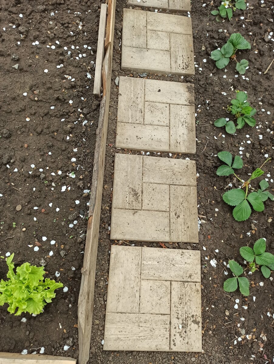 Дорожка между грядками