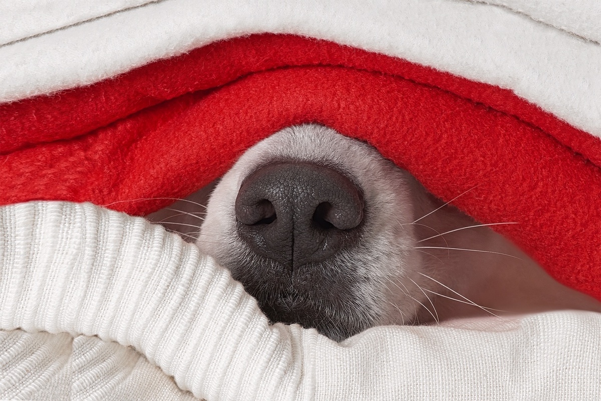 Фот из личного архива автора