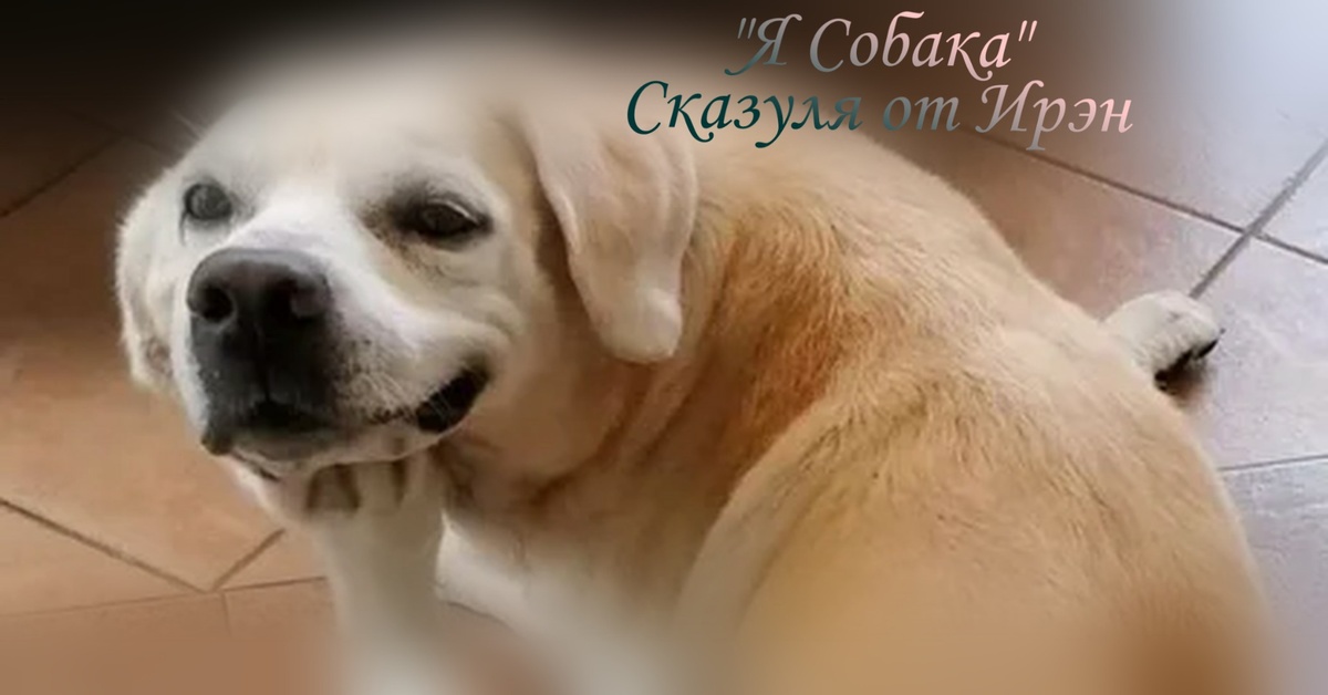 Да пребудет в нас Счастье!