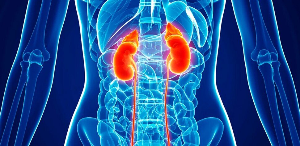 Картинка из открытых источников.