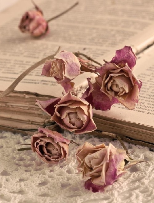 Фото взято из открытых источников в интернете