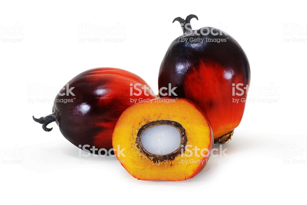 Плоды масличной пальмы