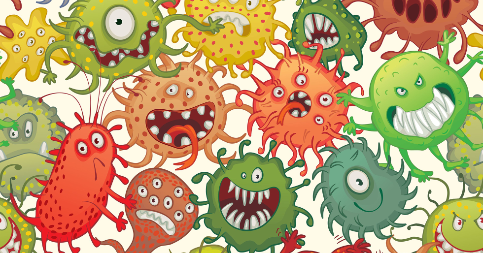 Фотография бактерий и вирусов, живущих в среднестатистической квартире, взята из Яндекс.Картинок