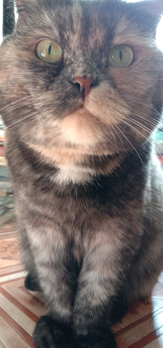 Фото автора