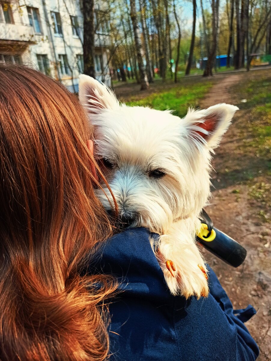 Татоше грустно, ступить негде, везде г..но