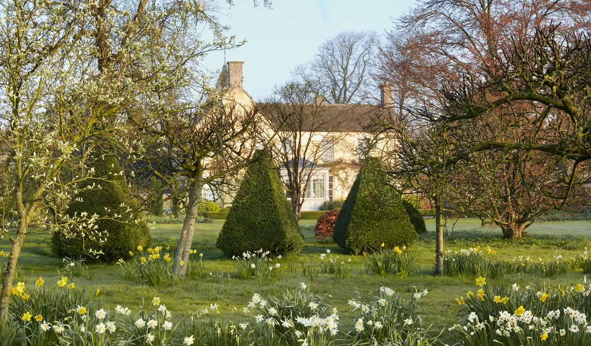 Сад Cotswolds, наполненный необычными весенними цветами | Дивный сад | Дзен