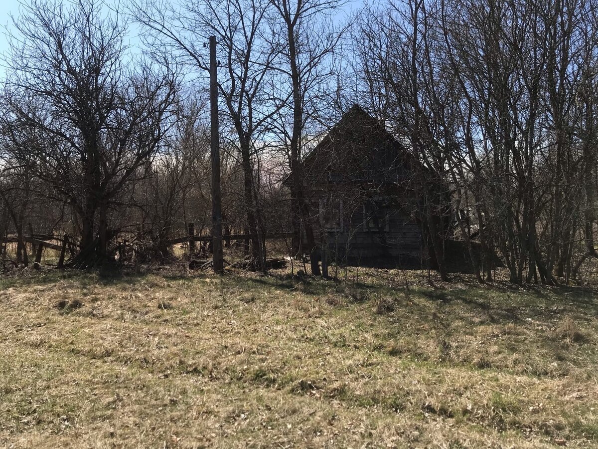 Село в Чернобыле, где недавно жили люди: деревня Лубянка и ее супер сохраны